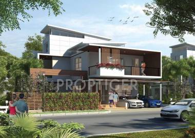 Images for Elevation of Purva The Sound of Water Images for Elevation of Purva The Sound of Water