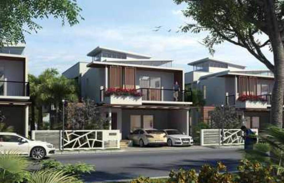 smiling willows Images for Elevation of Purva The Sound of Water