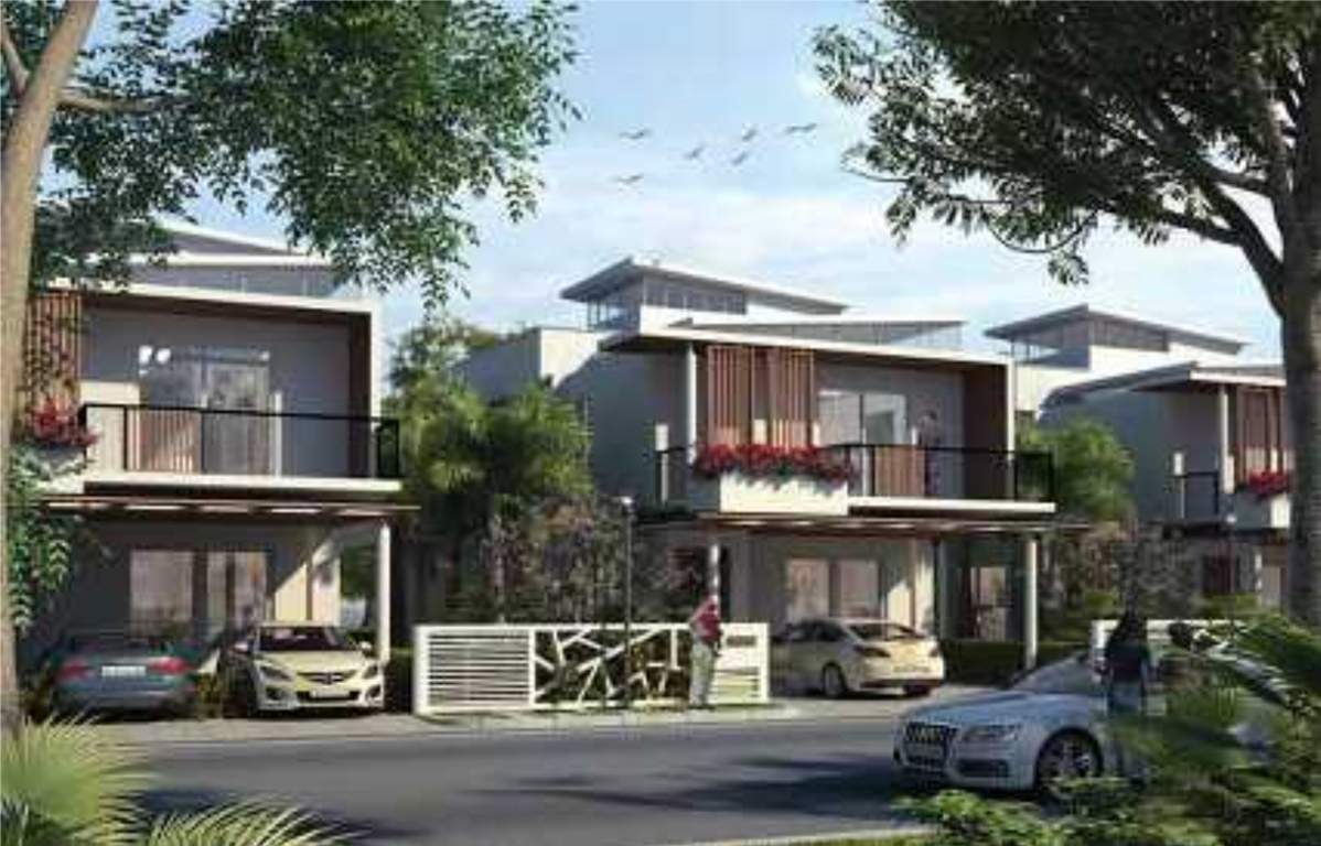 smiling willows Images for Elevation of Purva The Sound of Water