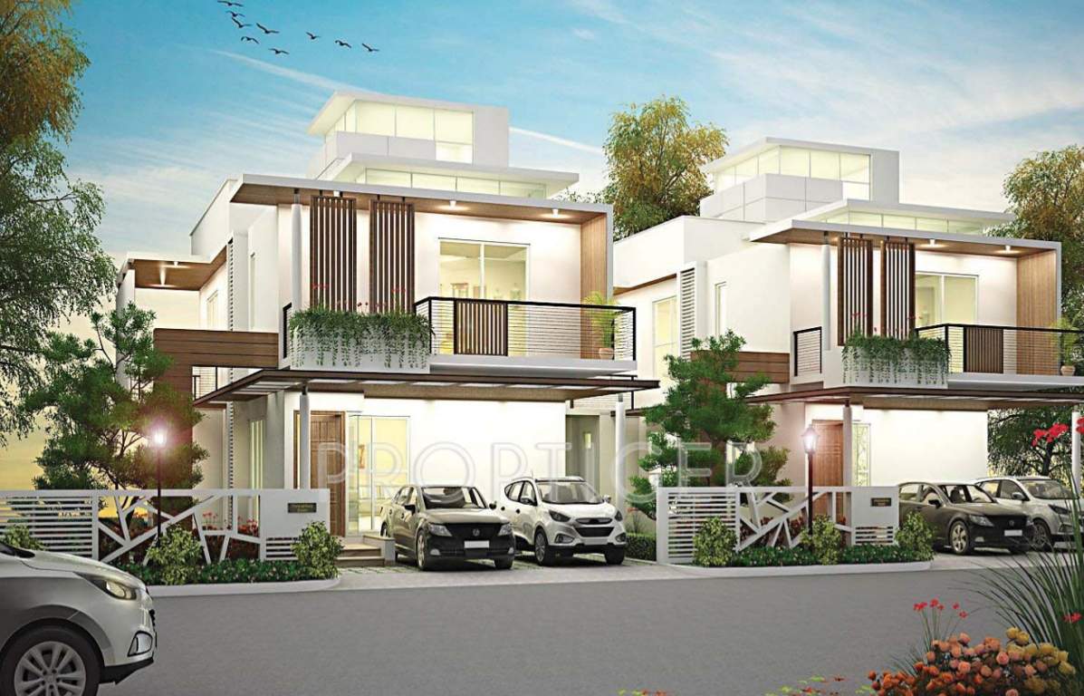 smiling willows Images for Elevation of Purva The Sound of Water