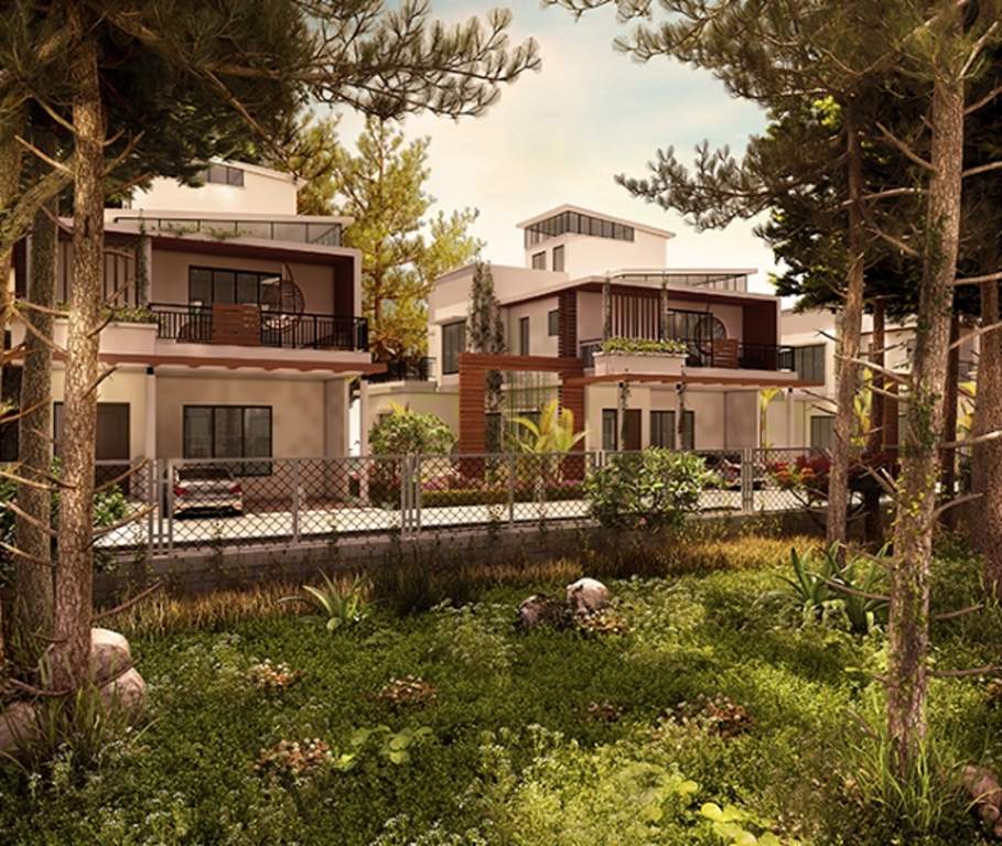 smiling willows Images for Elevation of Purva The Sound of Water