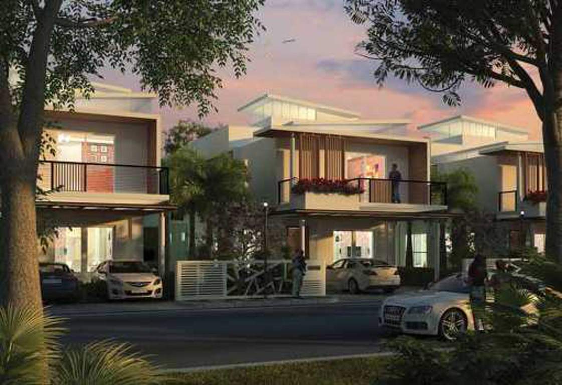 smiling willows Images for Elevation of Purva The Sound of Water