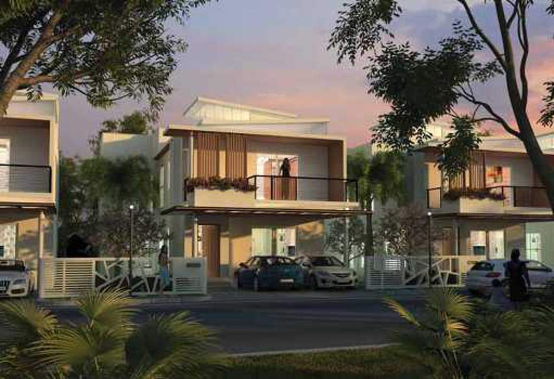 smiling willows Images for Elevation of Purva The Sound of Water