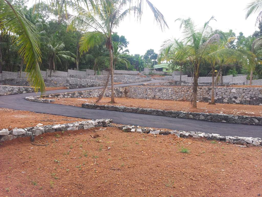  altair Images for Main Other of Confident Altair