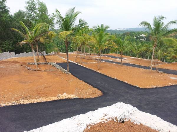 Images for Main Other of Confident Altair Images for Main Other of Confident Altair