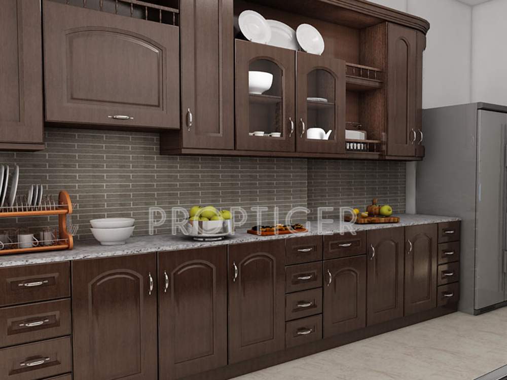 cyber gardens carnations Images for Main Other of Condor Cyber Gardens Carnations