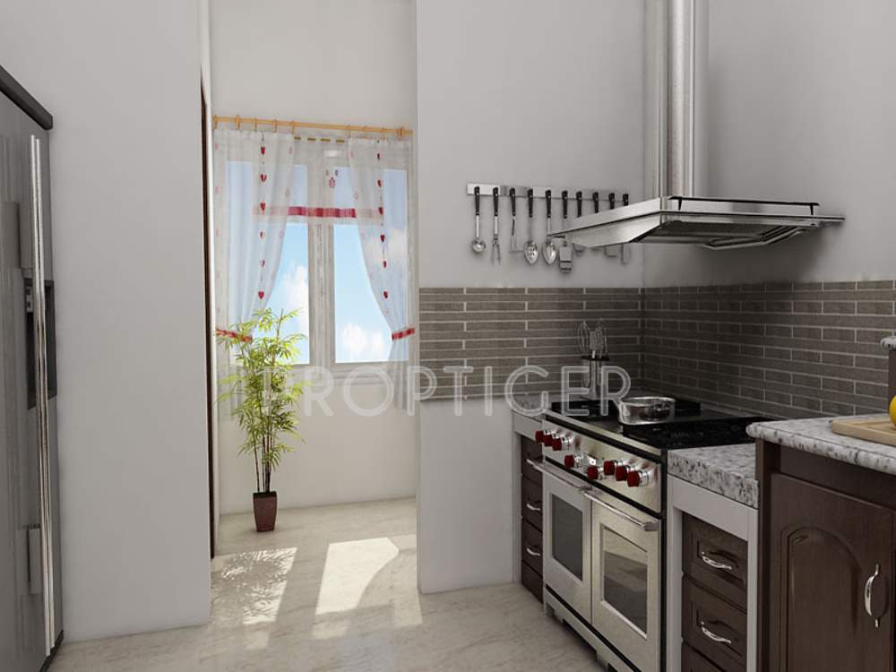 cyber gardens carnations Images for Main Other of Condor Cyber Gardens Carnations