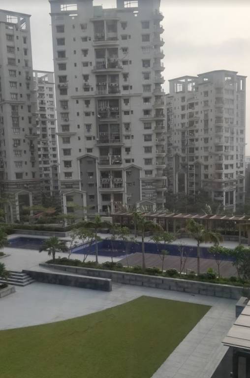  silver spring Elevation