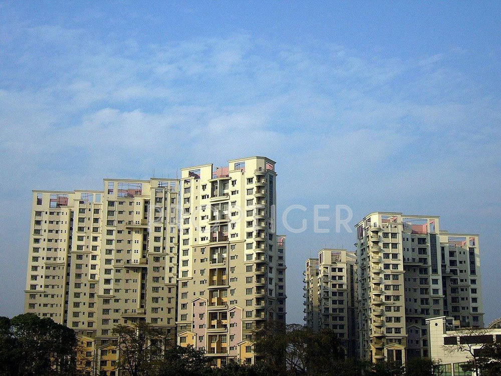  silver spring Project Image