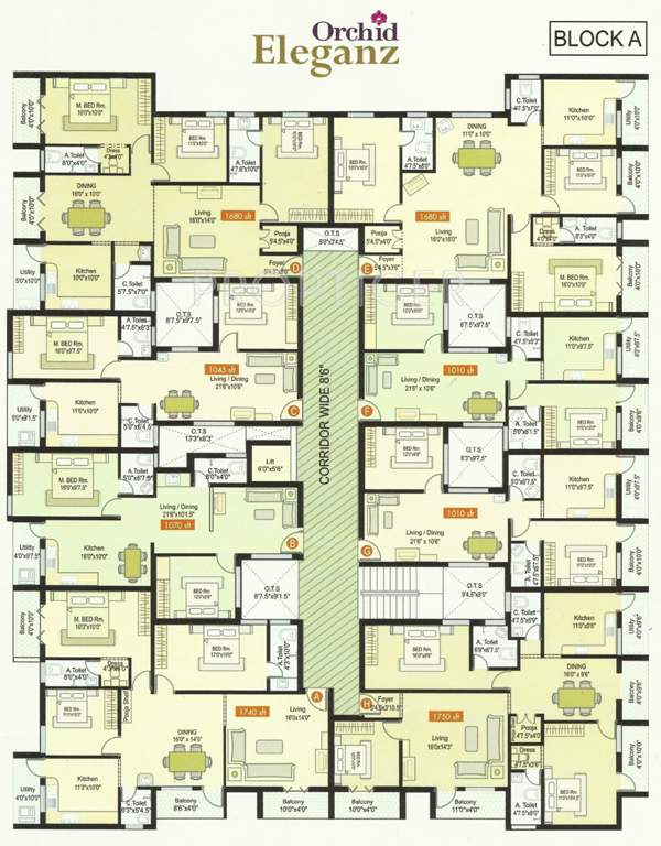 orchid eleganz Images for Cluster Plan of Lumbodhara Orchid Eleganz