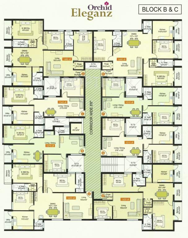 orchid eleganz Images for Cluster Plan of Lumbodhara Orchid Eleganz