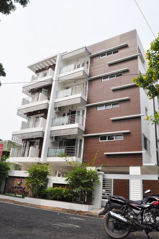 Images for Elevation of Newry Carnation