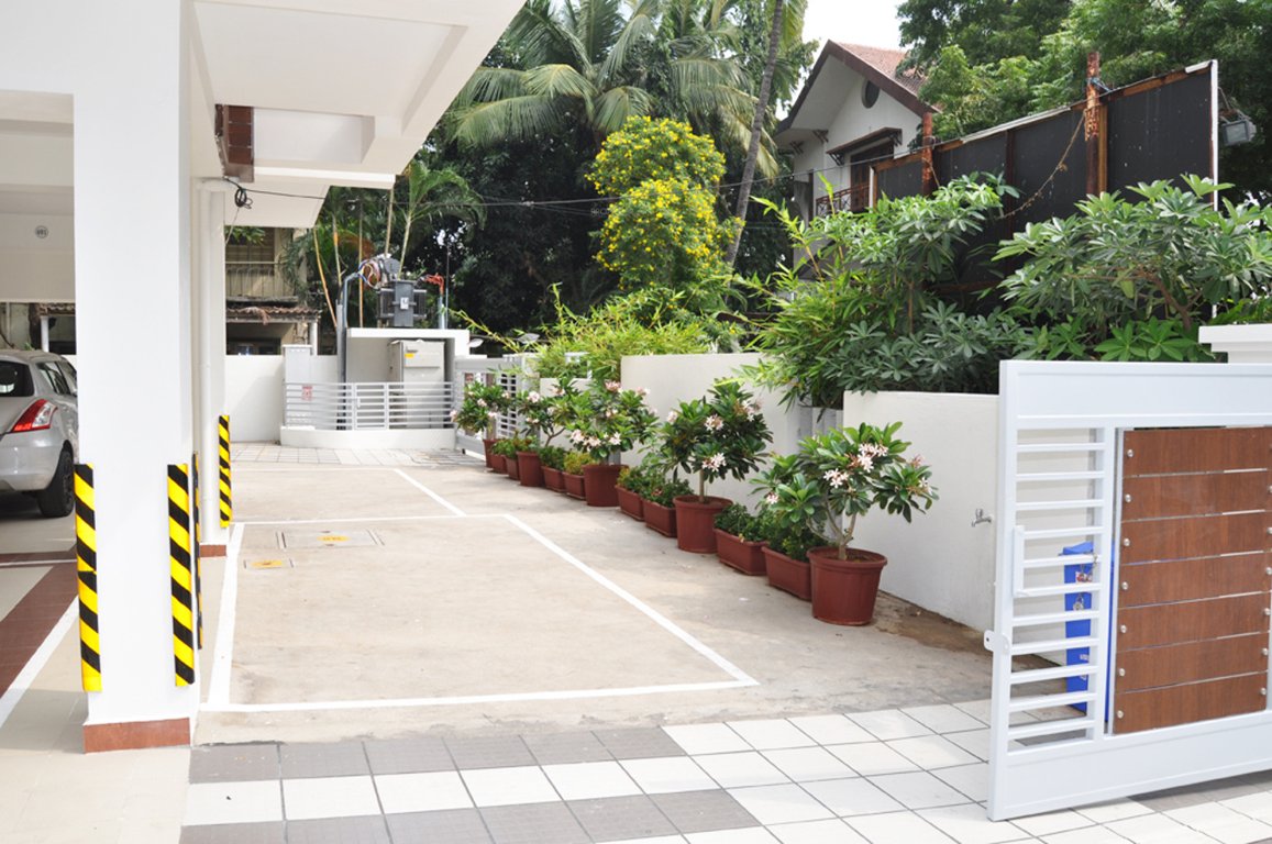 Images for Amenities of Newry Carnation