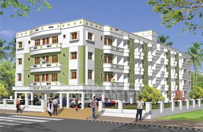  tulip Images for Elevation of Top Tulip