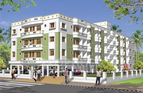 Images for Elevation of Top Tulip tulip Images for Elevation of Top Tulip