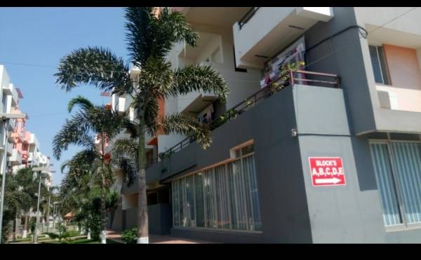 Elevation coral-ennar Elevation