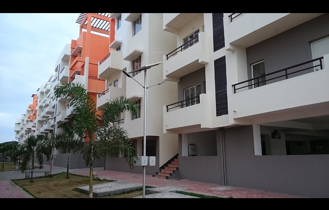  coral ennar Elevation