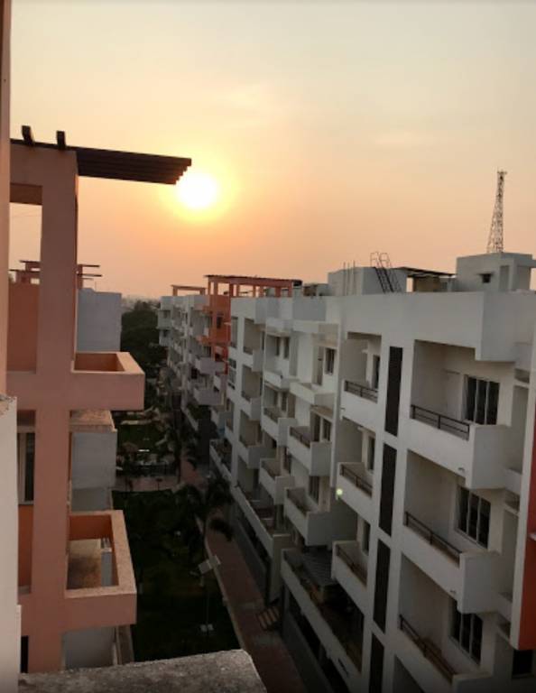  coral ennar Elevation