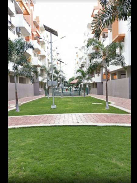 Others coral-ennar Others