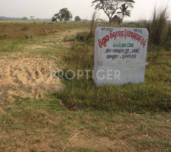 Images for Elevation of Biswal Jagannath Dham