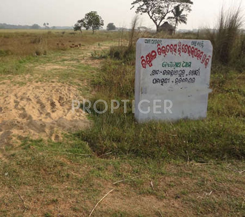 Images for Elevation of Biswal Jagannath Dham