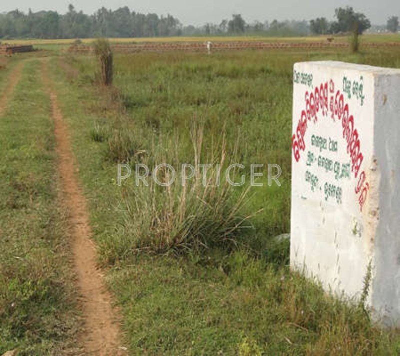 Images for Elevation of Biswal Jagannath Dham