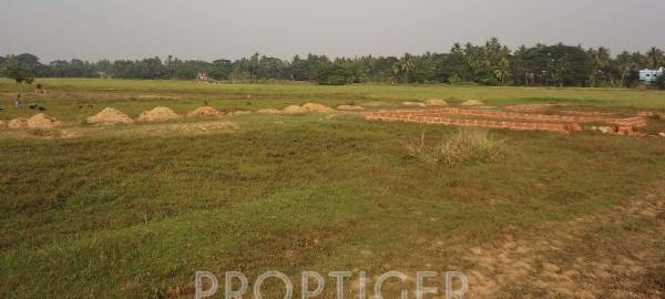 Images for Elevation of Biswal Jagannath Dham Images for Elevation of Biswal Jagannath Dham