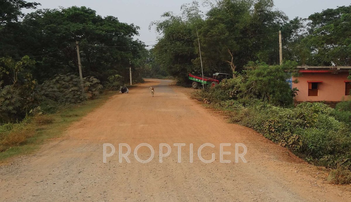 Images for Elevation of Biswal Brundavan Dham Phase 1