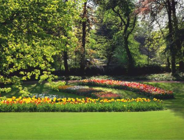 Images for Amenities of Isha Armonia