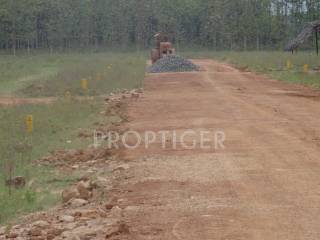 Project Image Project Image