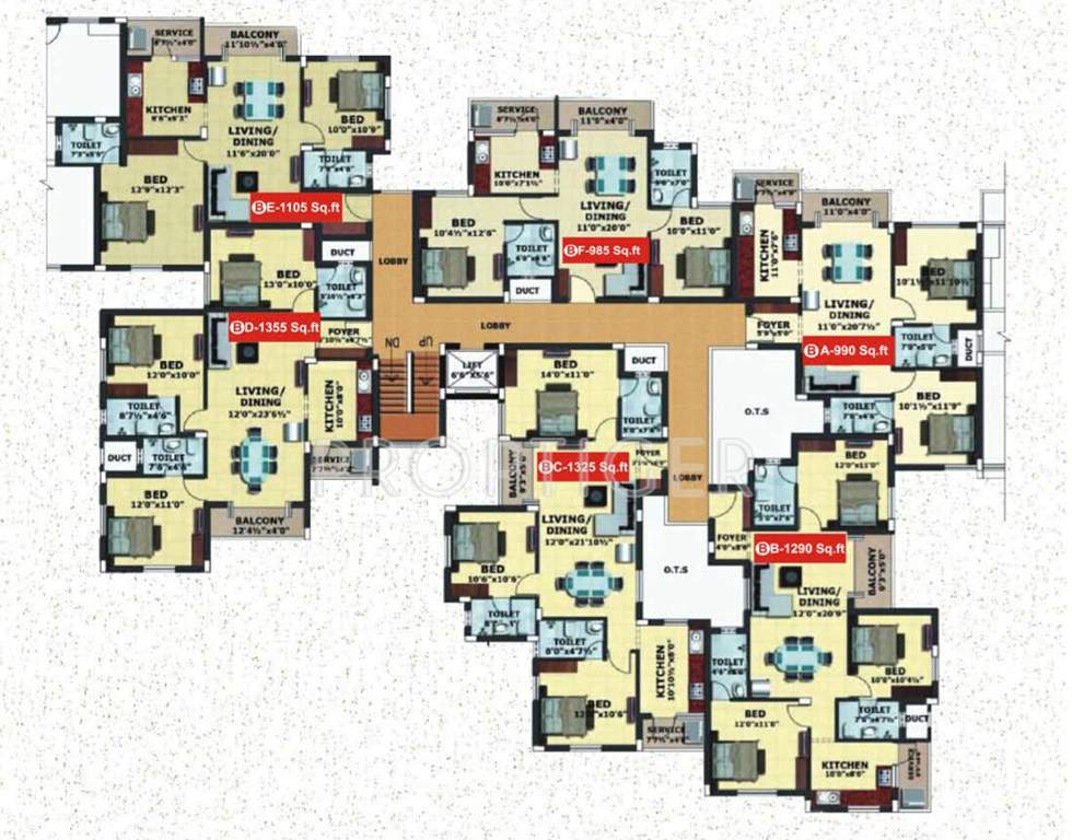  caladium Images for Cluster Plan of Jamals Caladium