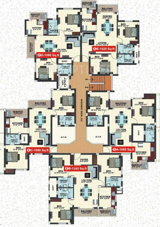  caladium Images for Cluster Plan of Jamals Caladium