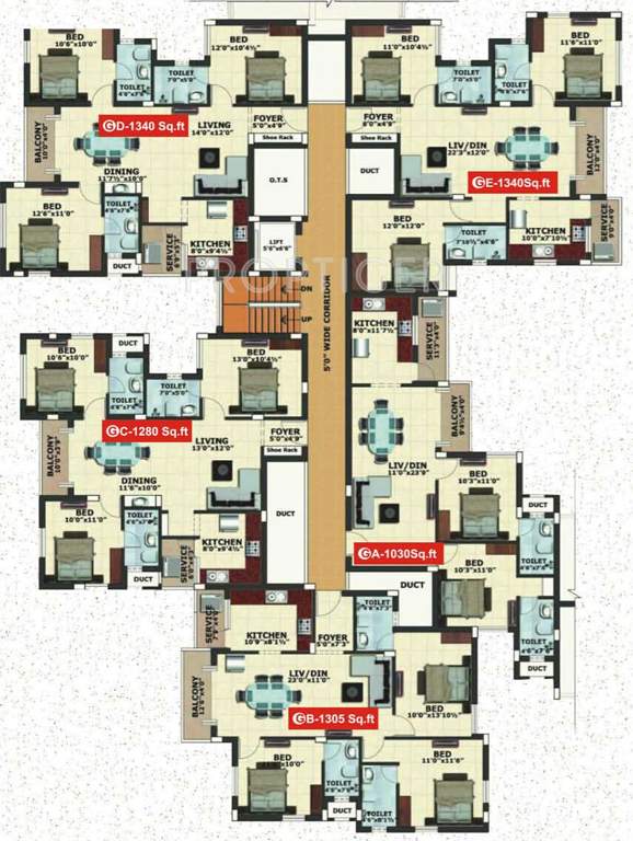  caladium Images for Cluster Plan of Jamals Caladium