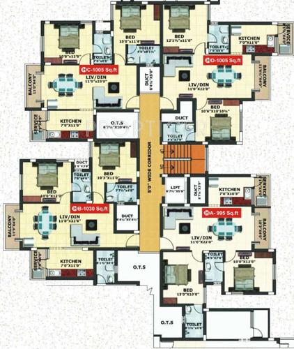  caladium Images for Cluster Plan of Jamals Caladium