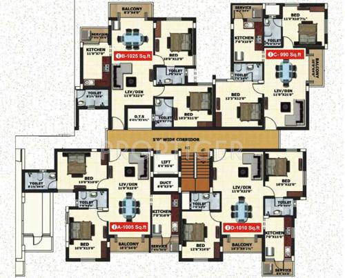  caladium Images for Cluster Plan of Jamals Caladium