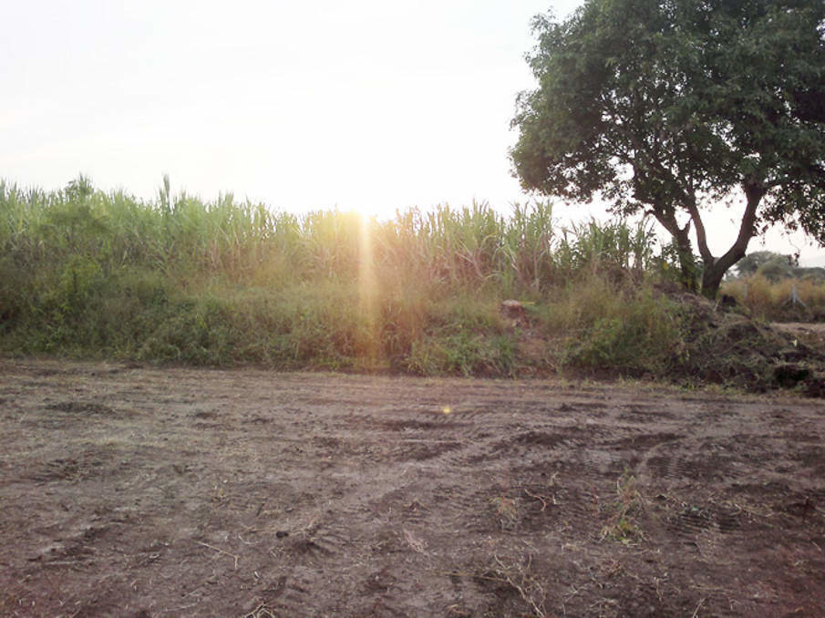 Images for Main Other of V3 Aura