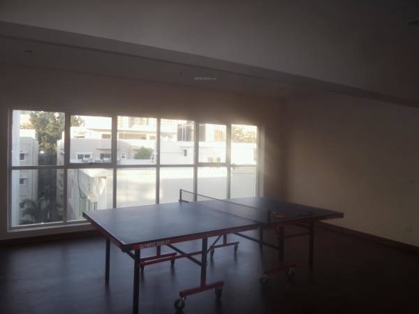  odessey Indoor Games