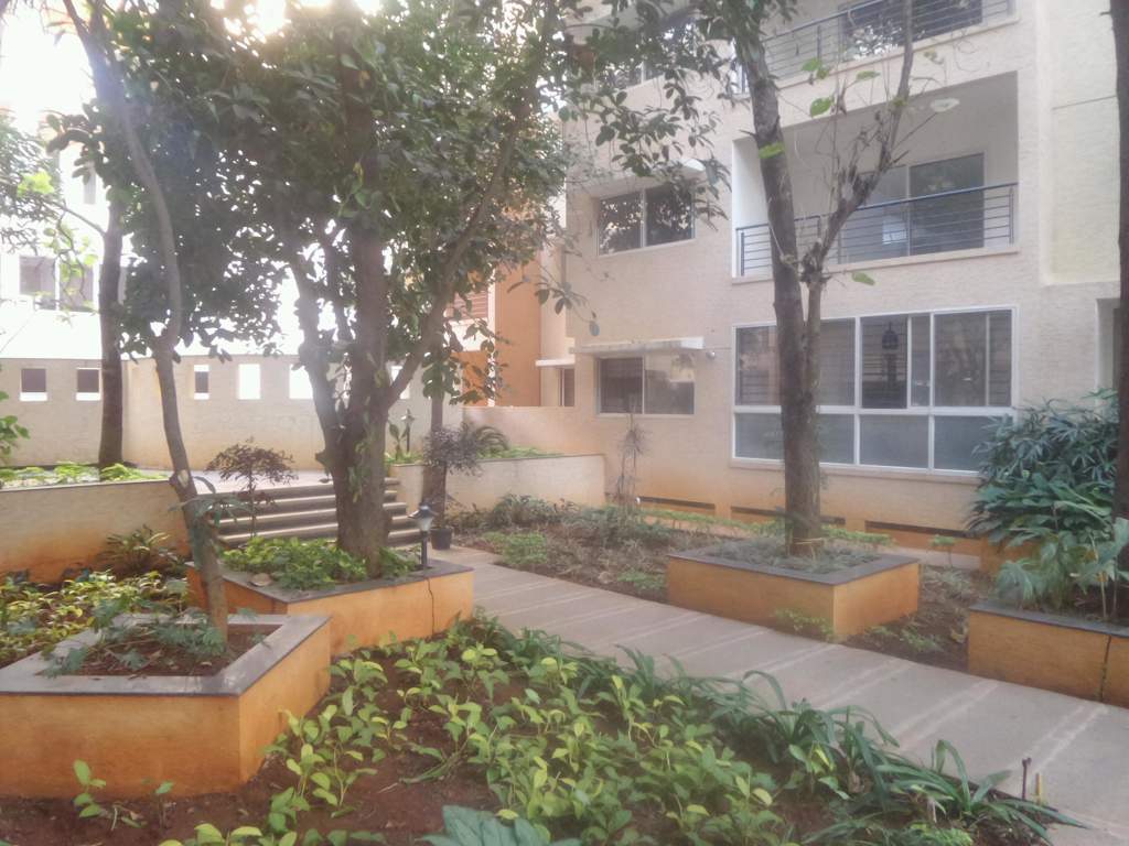  odessey Landscaped Gardens