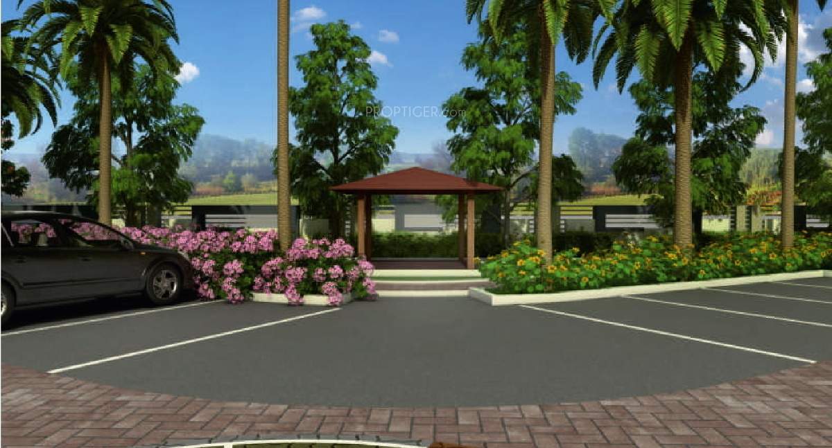 opus 77 Images for Main Other of Chandrarang Opus 77