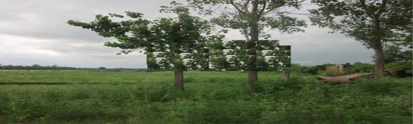 Elevation maurya-builders-and-developers sundram-dham Elevation