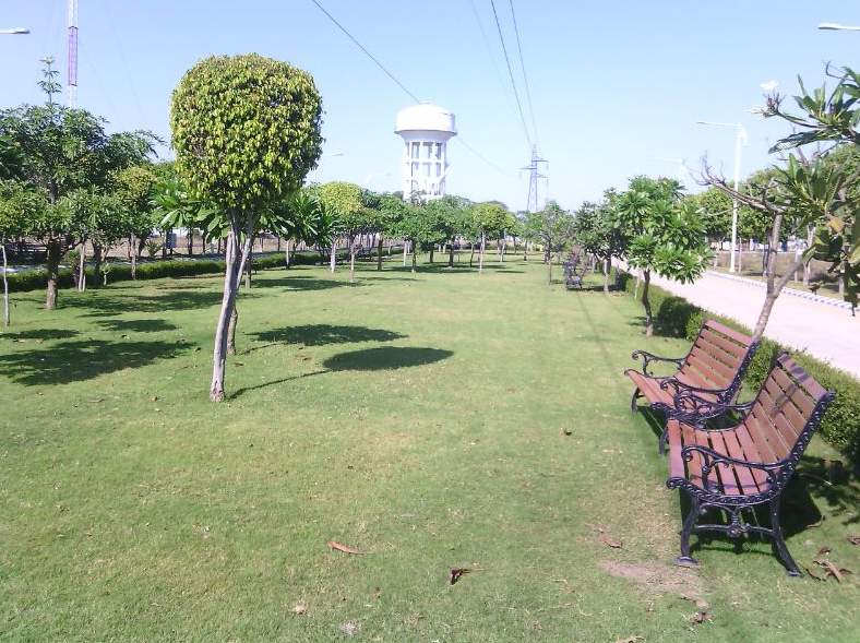  city Landscape Garden and Tree Planting