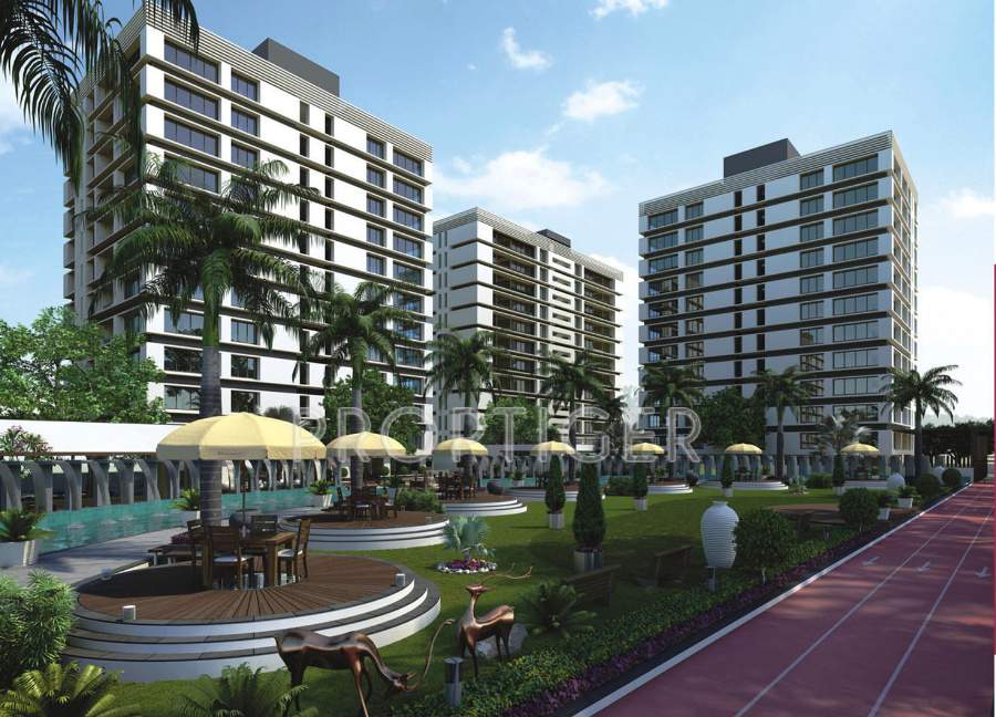 blossom Images for Elevation of Imperial Blossom