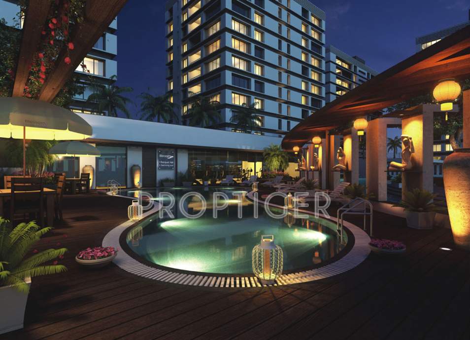 blossom Images for Elevation of Imperial Blossom