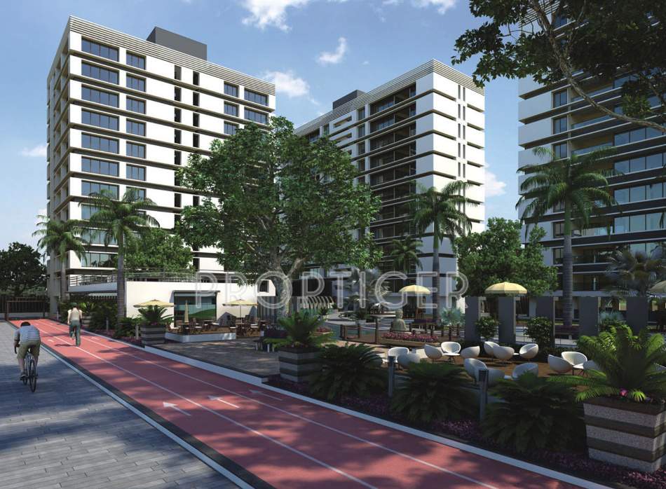 blossom Images for Elevation of Imperial Blossom