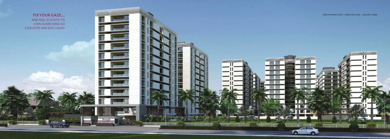 blossom Images for Elevation of Imperial Blossom