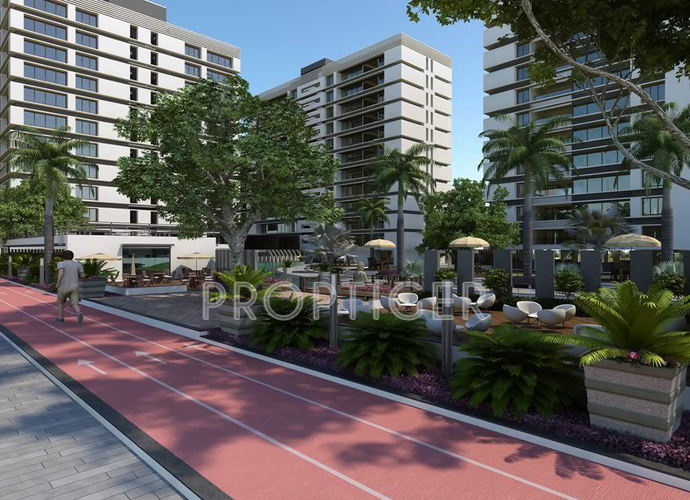 blossom Images for Elevation of Imperial Blossom