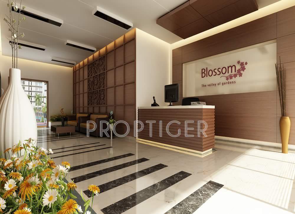 blossom Images for Elevation of Imperial Blossom