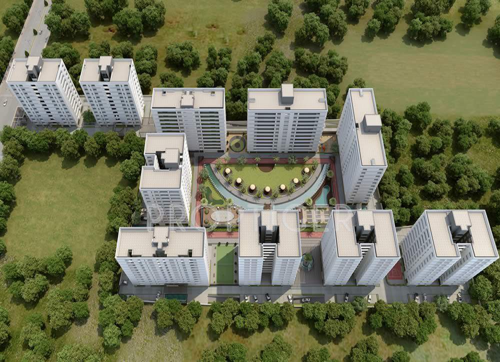 blossom Images for Elevation of Imperial Blossom