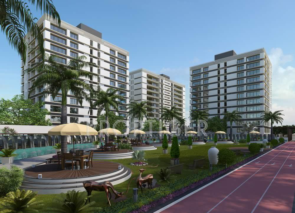 blossom Images for Elevation of Imperial Blossom