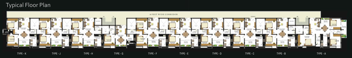  carnation Images for Cluster Plan of Global Carnation